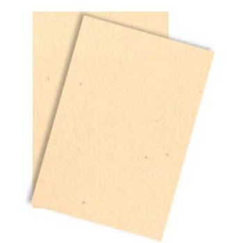 Foam carta 2h 2mm carne-FO0208