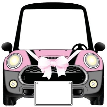 Mini cooper pintado rosa 118 x 115 cm-ML1511