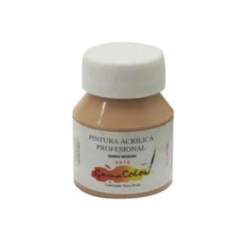 Pintura gama color 18 carne 30 ml.-PI0996