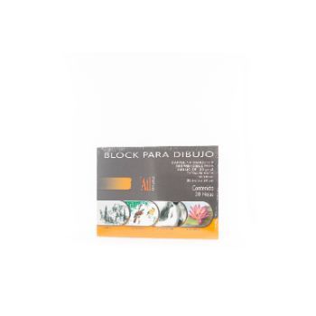 Block p/dibujo 33.5 x 24 c/20 hjs chico-PI5975