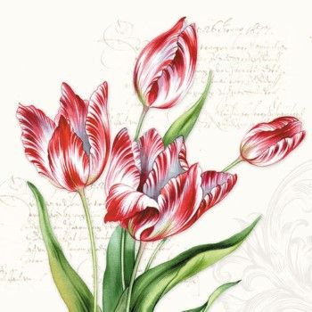Servilleta alemana classic tulips-SE0366