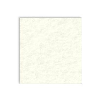 Fieltro laminado blanco 1 type 3-TF0000